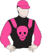 Gallant Star silks