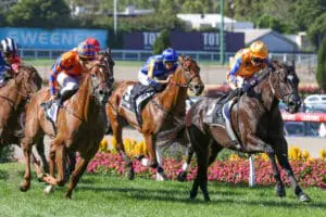 Imperatriz William Reid Stakes Imperatriz