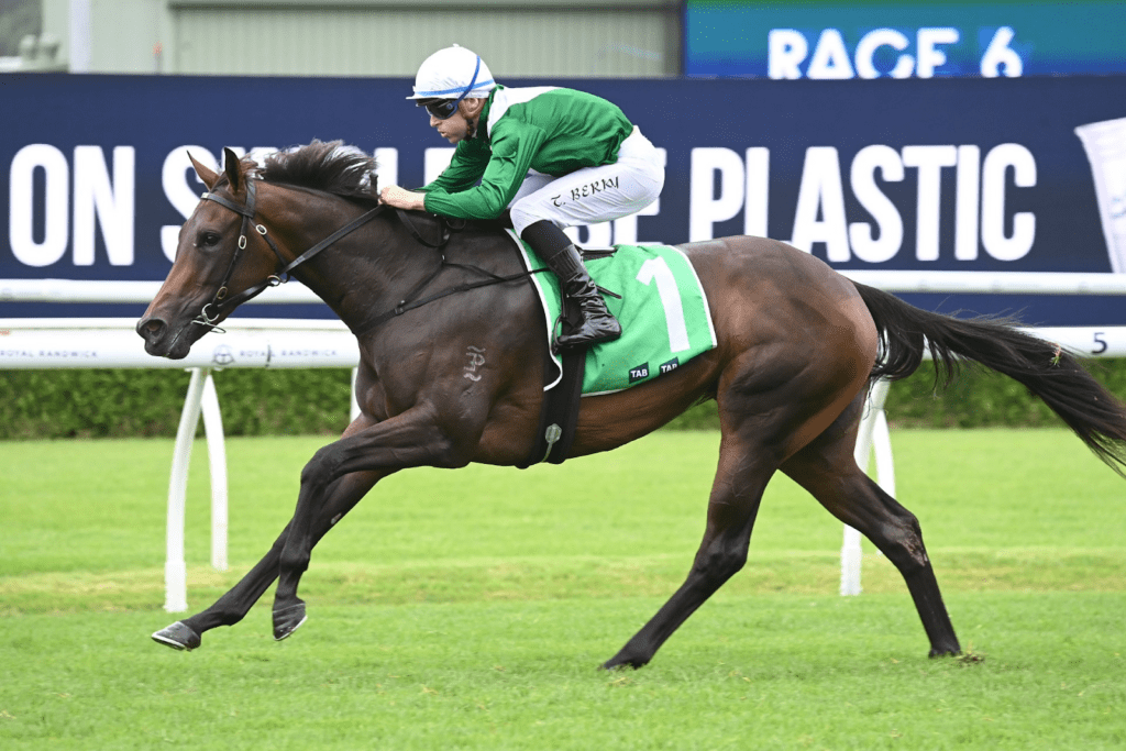 Manaal winning the Sweet Embrace Stakes