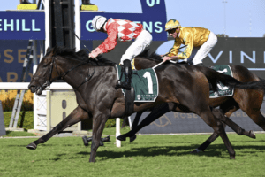 Orchestral Vinery Stud Stakes Orchestral