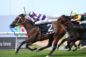 Riff Rocket Rosehill Guineas Riff Rocket