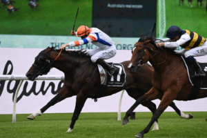 Veight George Ryder Stakes Veight