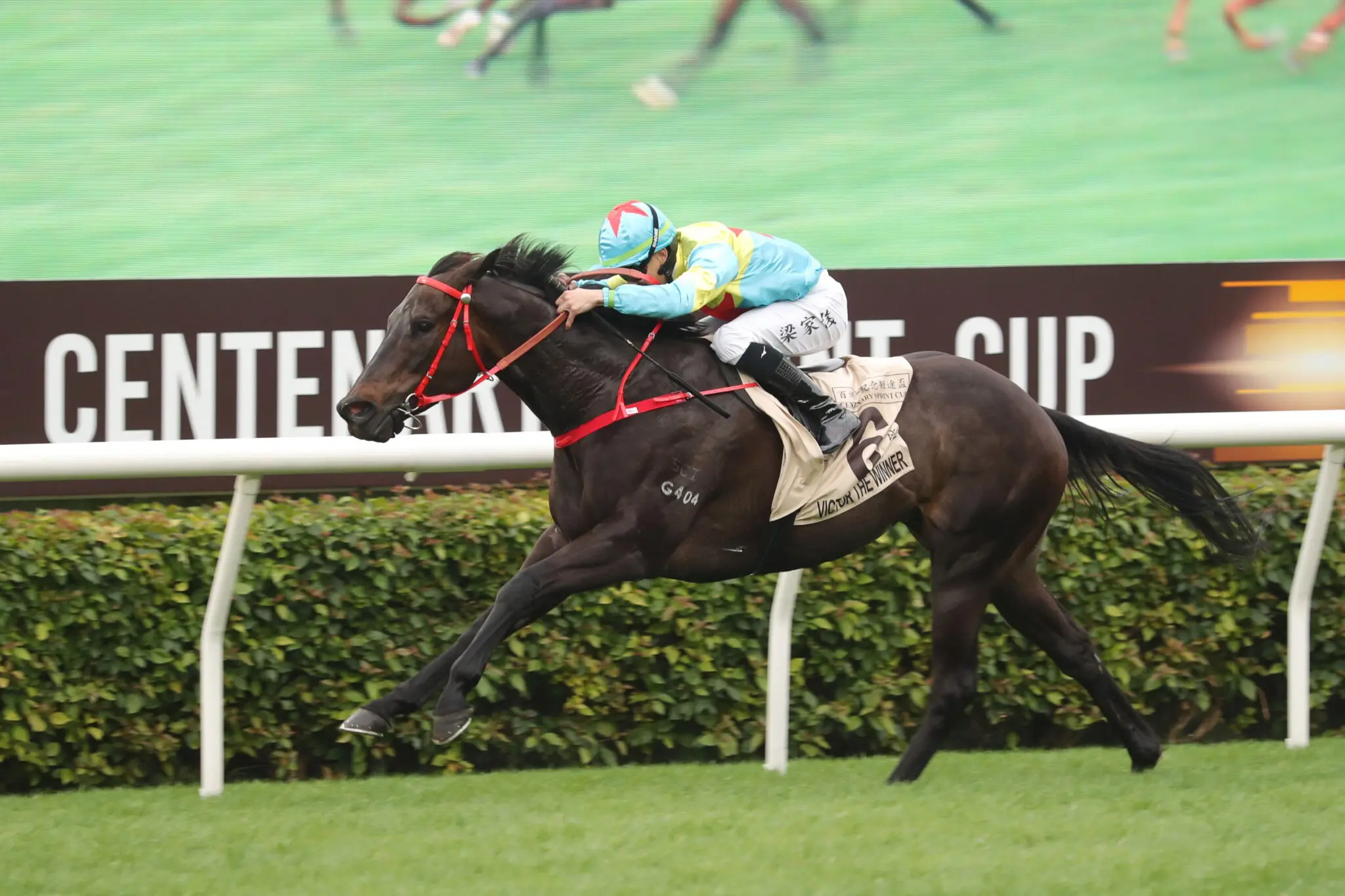Victor The Winner
