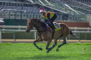 Voyage Bubble at Meydan Racecourse