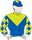 Yellowbrick Road Adelaide Cup silks