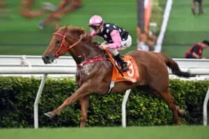 Beauty Eternal Champions Mile Beauty Eternal
