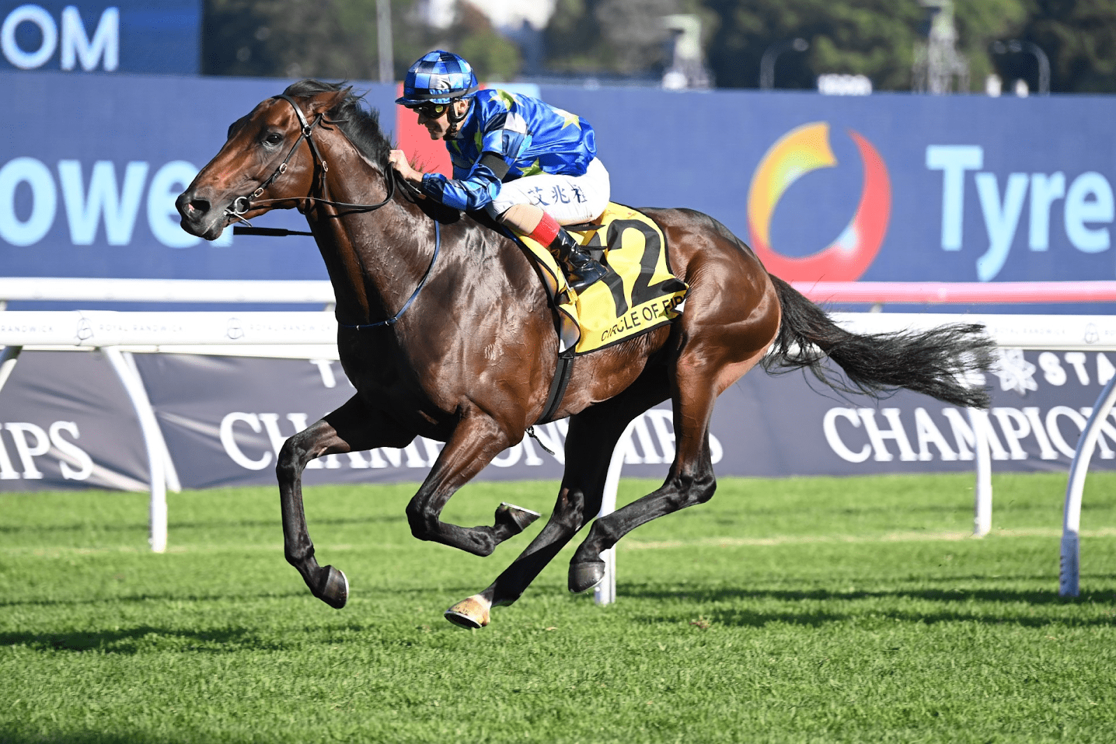 Can Circle Of Fire Win The 2024 Melbourne Cup? Form Odds