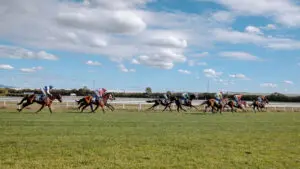 New Zealand horse racing