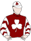 Ruakaka Raider Silks