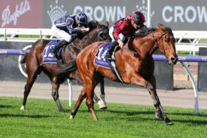 Amberite Winning Australian debut for Amberite