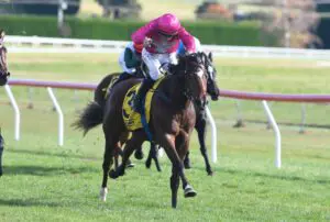Belardi Breakthrough victory for exciting juvenile
