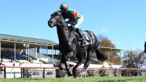 Geriatrix Geriatrix claims Van Dyk's 300