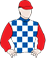 Golden Estrella Silks