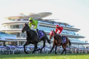 Navy-King Navy King shows staying prowess