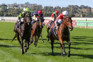 Niance Niance bounces back at Flemington