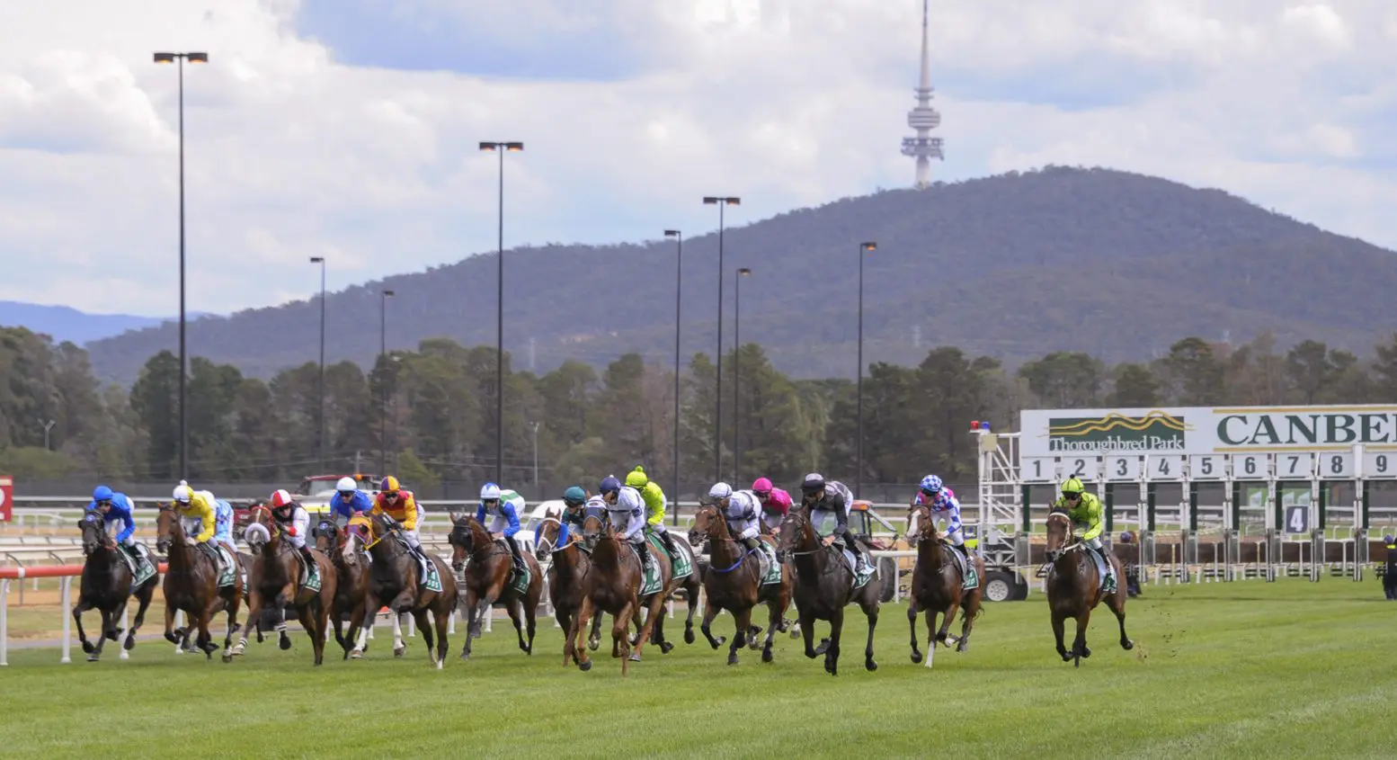 Black Opal Stakes