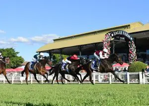 La Crique - Eagle Farm