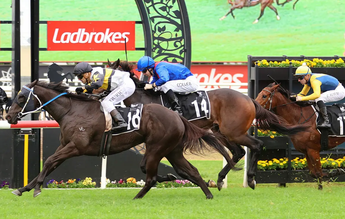 Roll On High Earns Stradbroke Handicap Golden Ticket