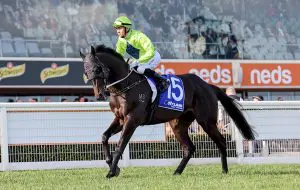 Amenable primed for Stradbroke Handicap