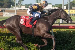 Jarrod Todd rides Hadouken to victory in 2024 Buntine Handicap