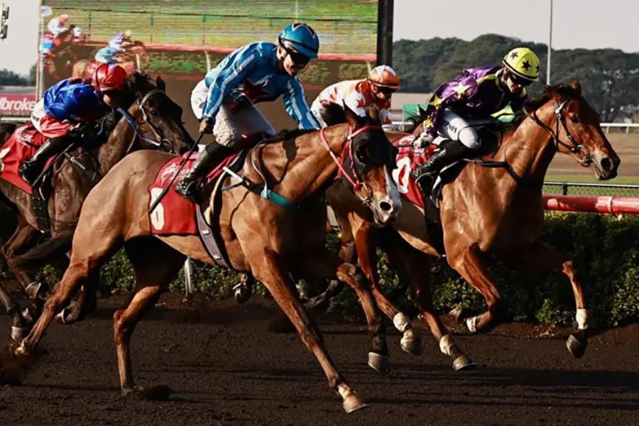 He's Maverick wins Darwin Guineas