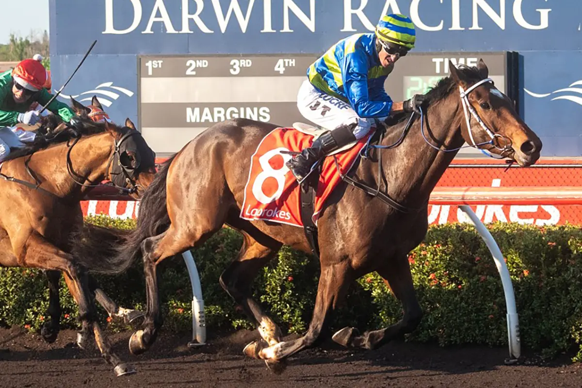 Masatora wins the NT Derby