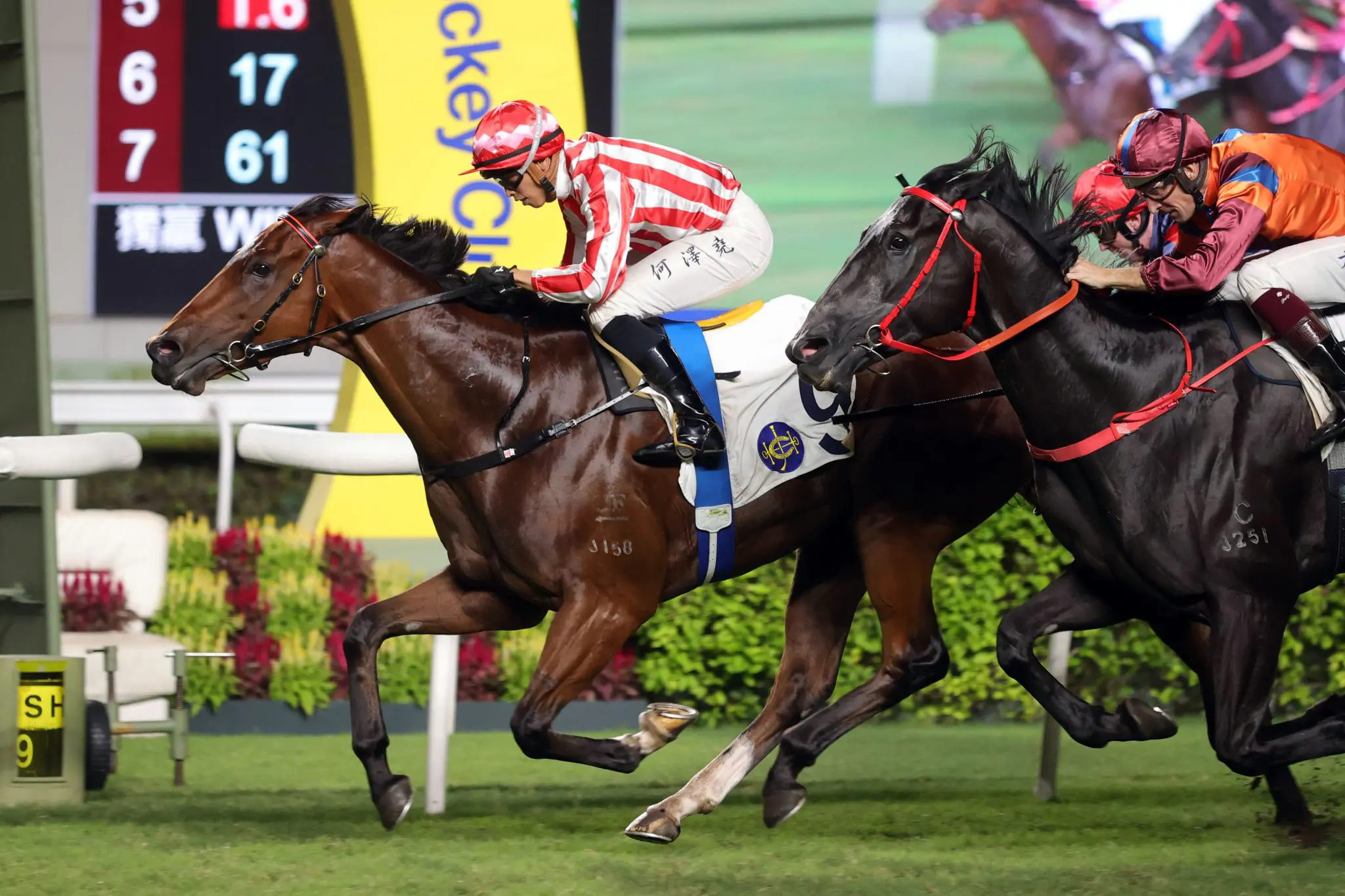 Hong Kong Trainers’ Championship Set For Thrilling Conclusion