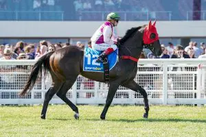 Mornington Glory