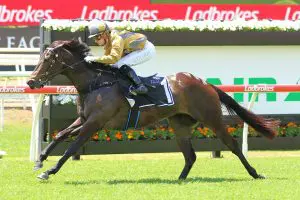 Party For Two Primed For Sir John Monash Stakes