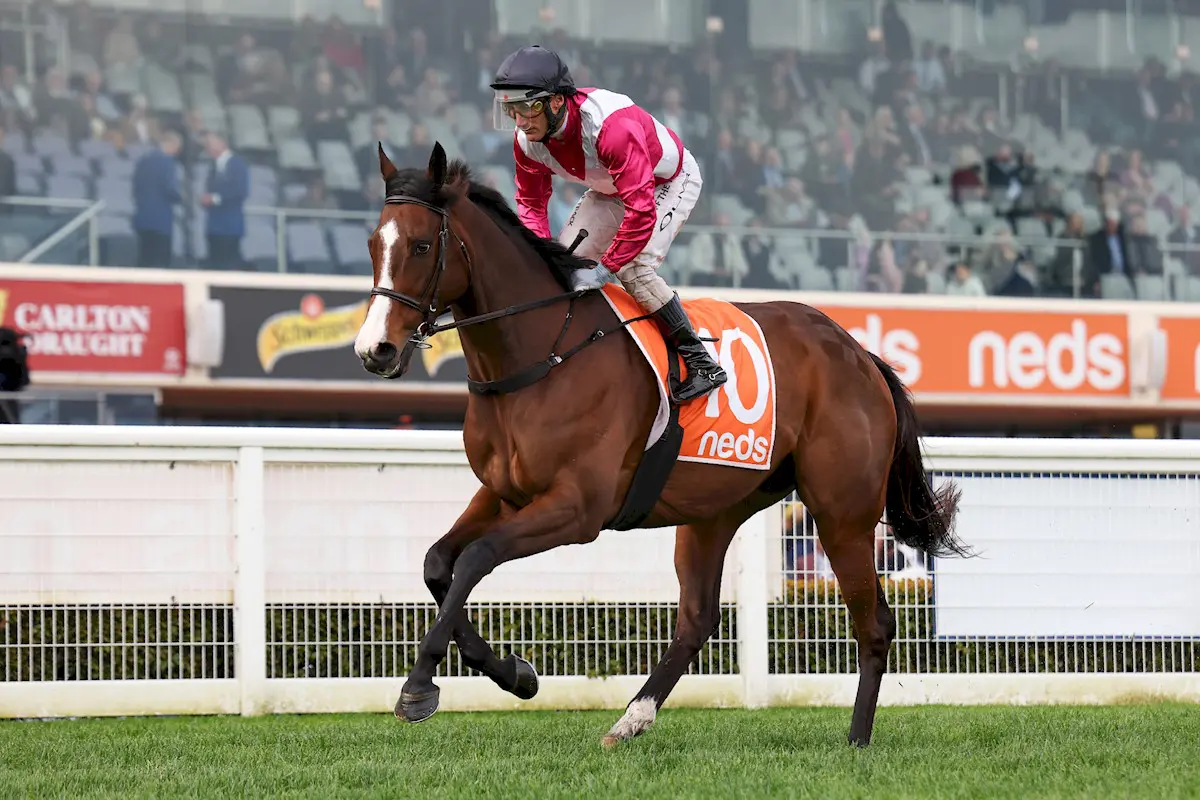 Showmanship Returns to Sydney in Winter Stakes After Long Hiatus