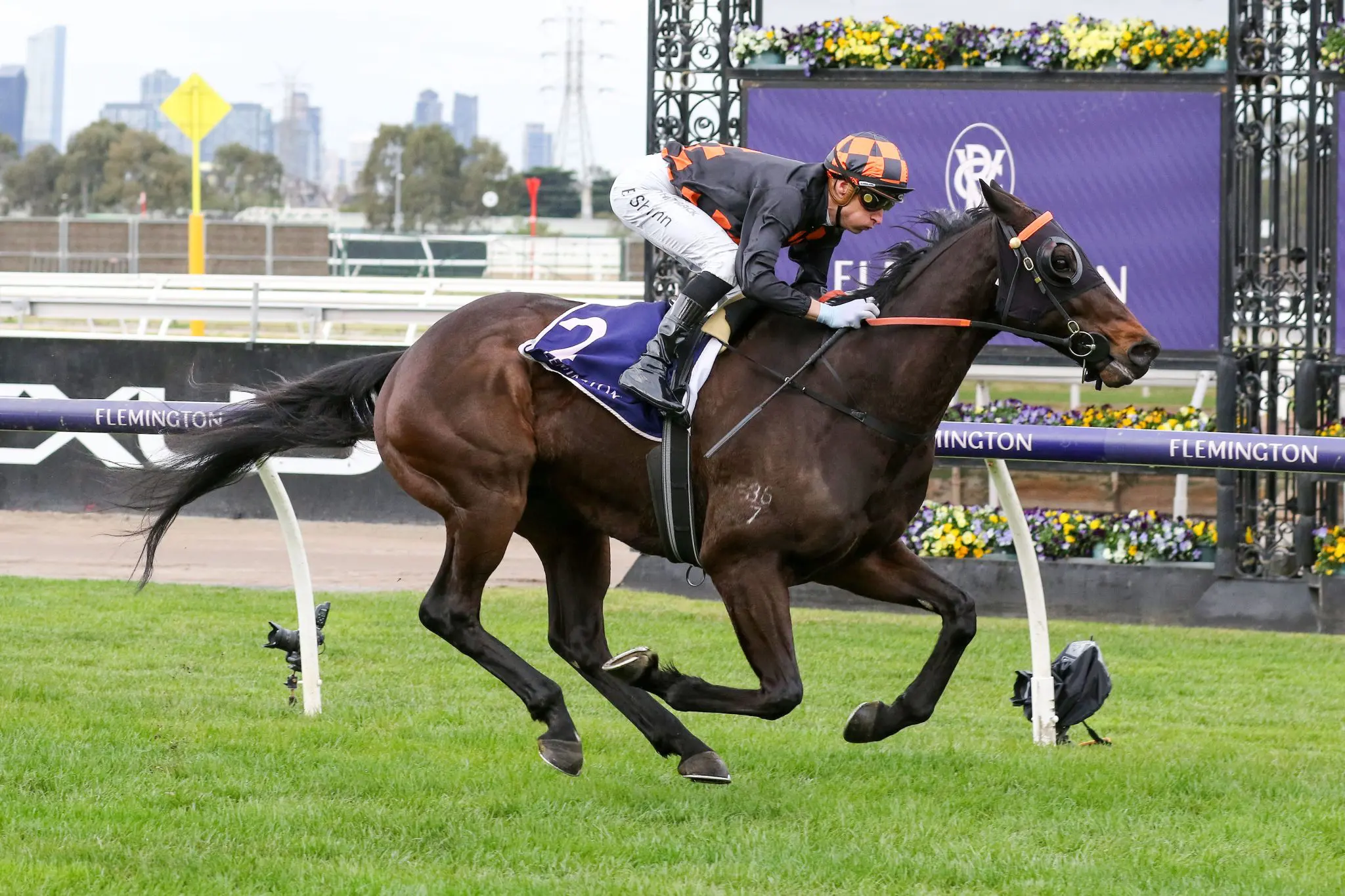 Horrifying Better Berkshire Breeze In Flemington Upset