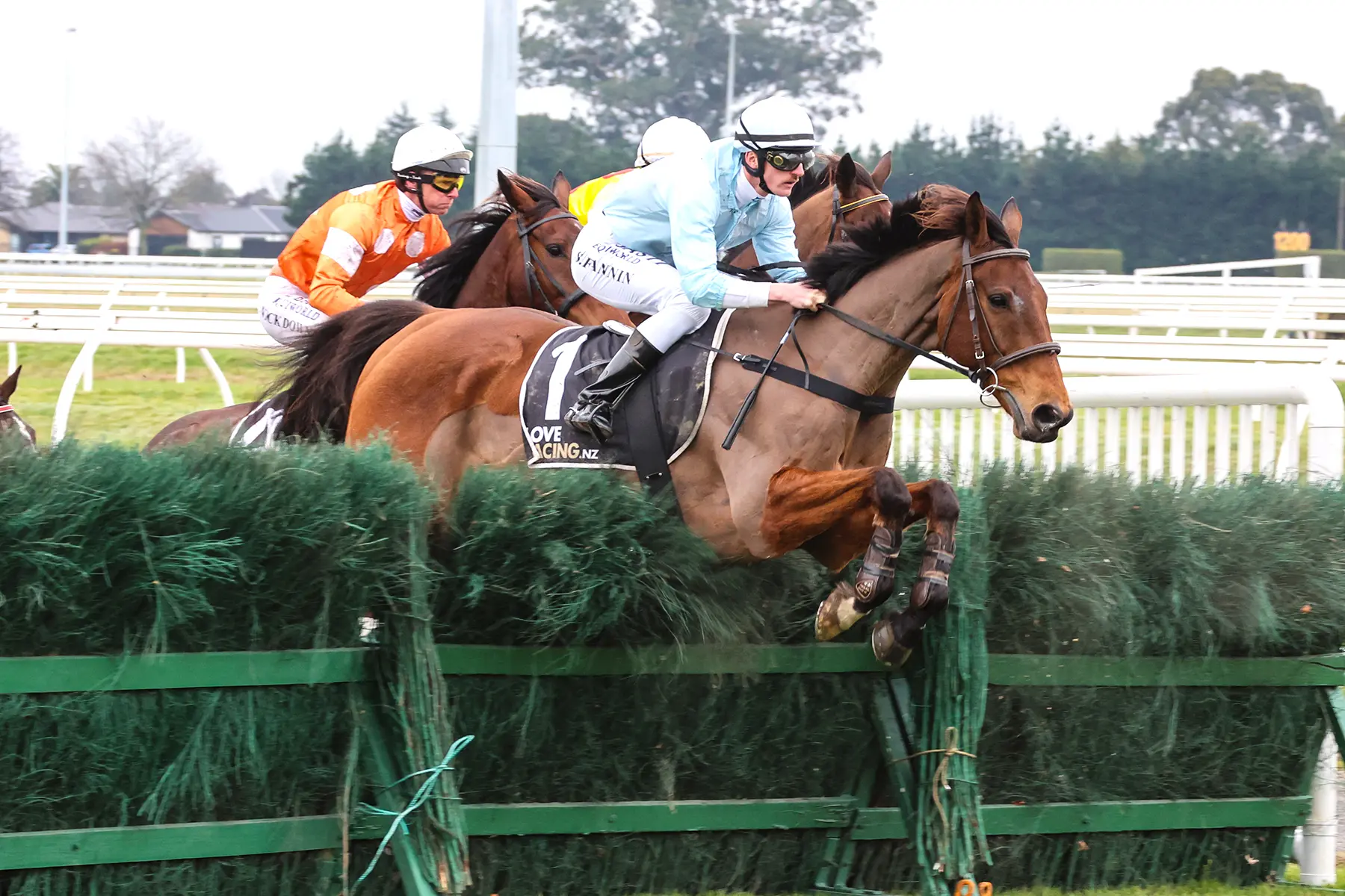 West Coast Claims Third Win In Grand National Steeplechase