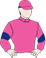Stroma Aster Silks