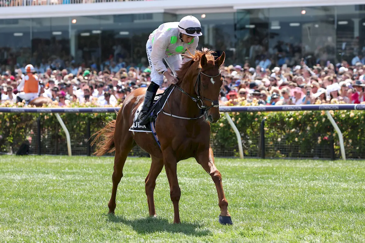 Melbourne Cup 2024 25 International Runners Among Nominations