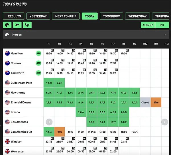 PlayUp horse racing review