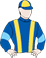 Alegron silks
