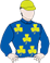 Alma Rise silks