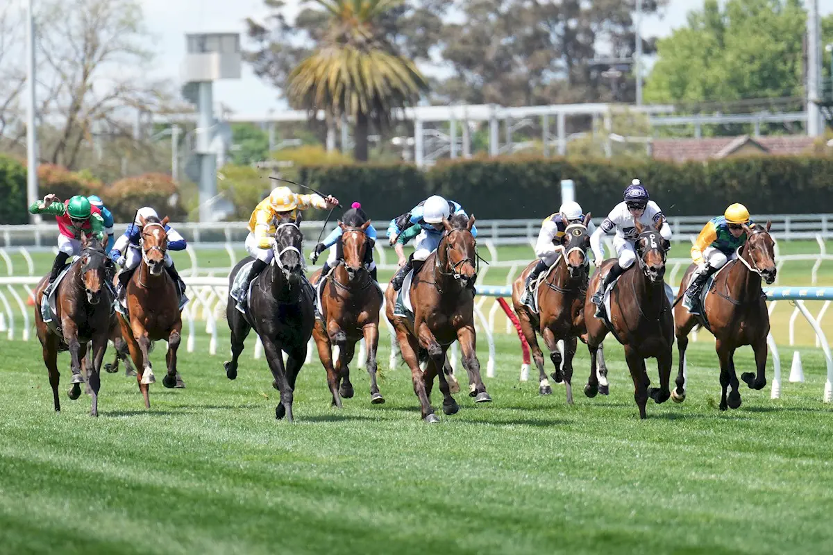 Caulfield Races October 16