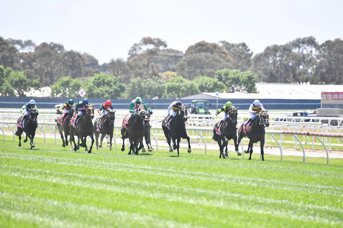 Geelong Cup Day 2024