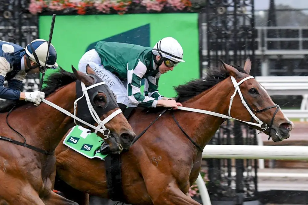 Via Sistina pictured winning the Turnbull Stakes