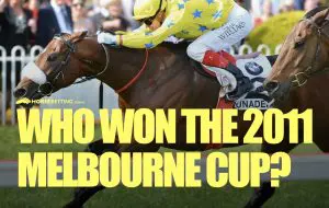2011 Melbourne Cup winner