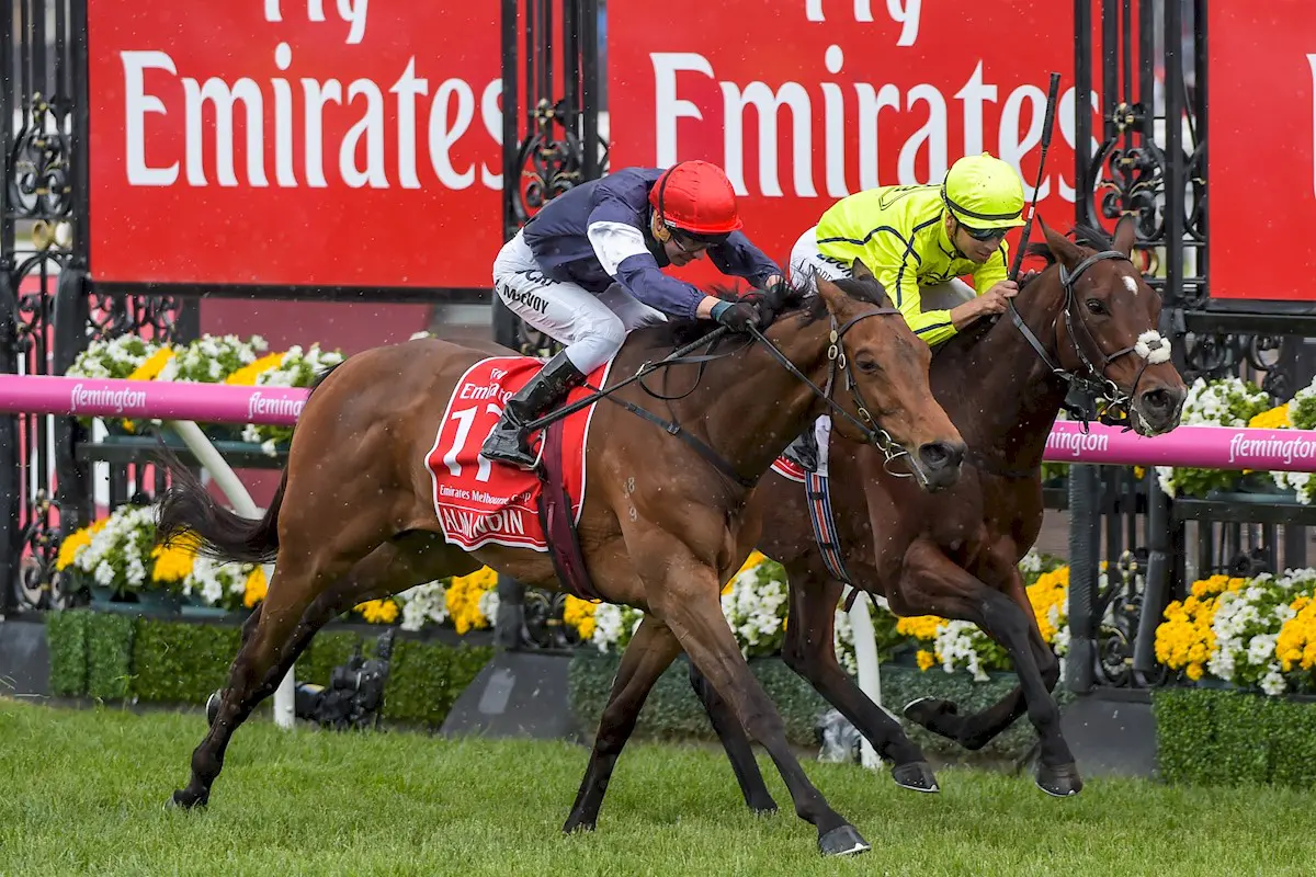 Almandin 2016 Melbourne Cup