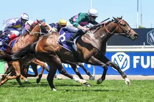 Garachico wins Australian Heritage Cup