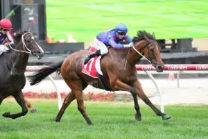 Globe wins the 2024 Cranbourne Cup