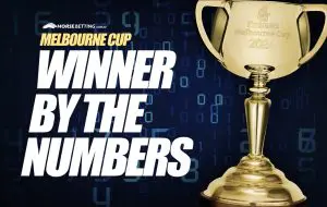 Melbourne Cup Win by Statistics