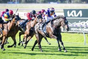 Mojo Rhythm wins RJ Peter Stakes