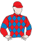 Wild Ruby Silks
