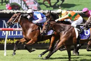 Bubba's Bay wins Nudgee Stakes