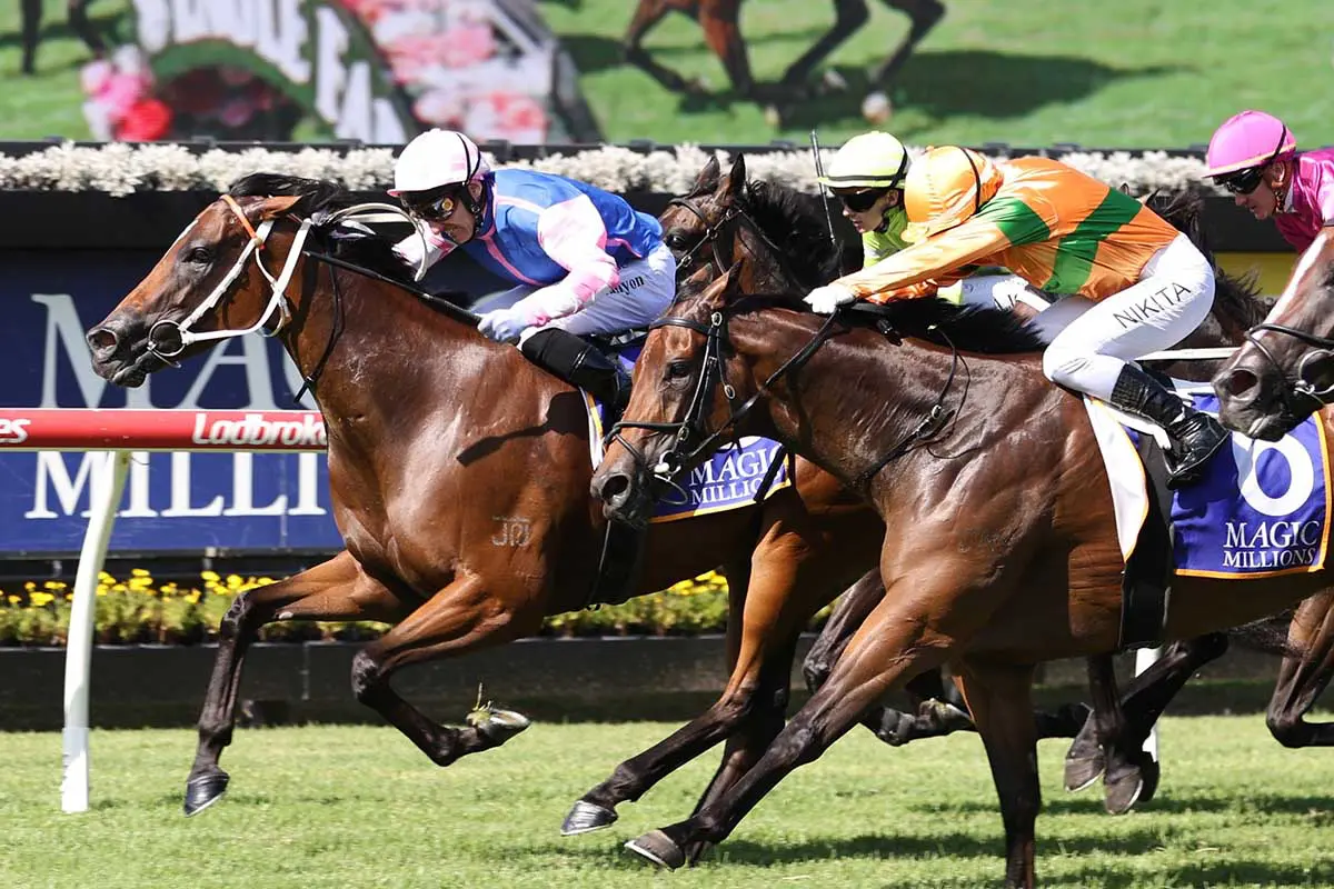 Bubba's Boy wins Nudgee Stakes