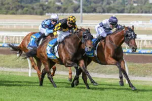 Goldman,Pakenham Cup Goldman wins Pakenham Cup
